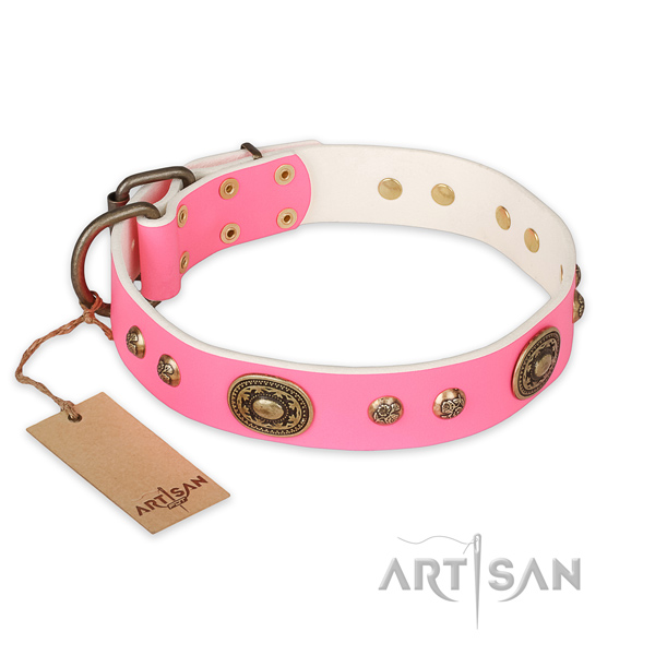 Incredible natural genuine leather dog collar for daily use