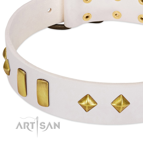 High quality leather dog collar with reliable buckle
