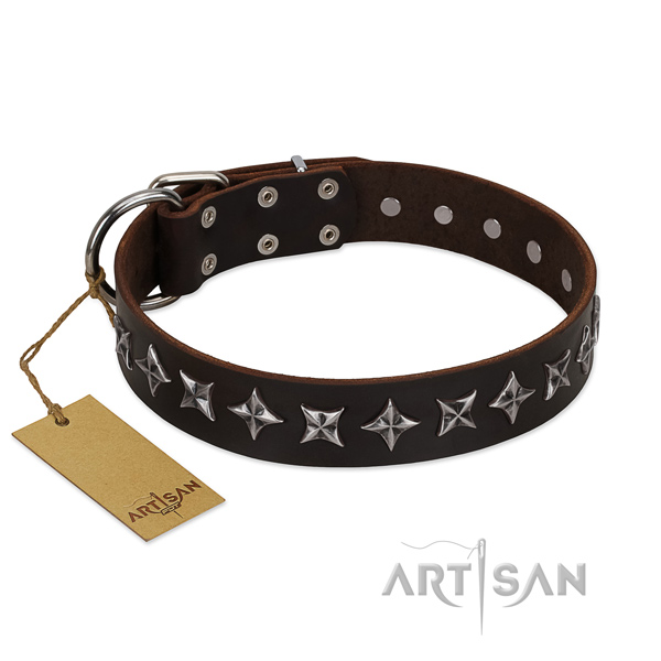 Fancy walking dog collar of best quality full grain leather with decorations