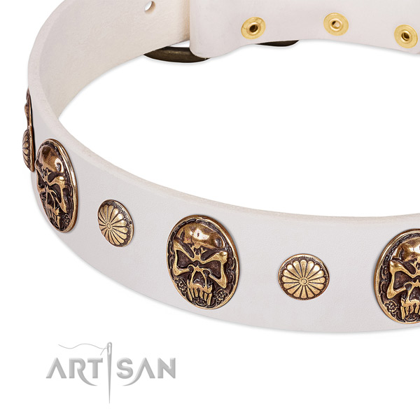 Rust-proof adornments on full grain genuine leather dog collar for your four-legged friend
