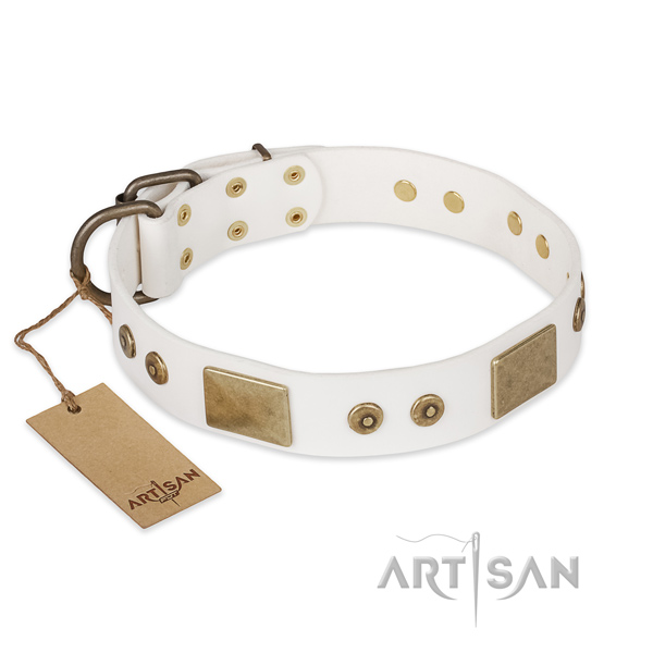 Stylish full grain natural leather dog collar for comfy wearing