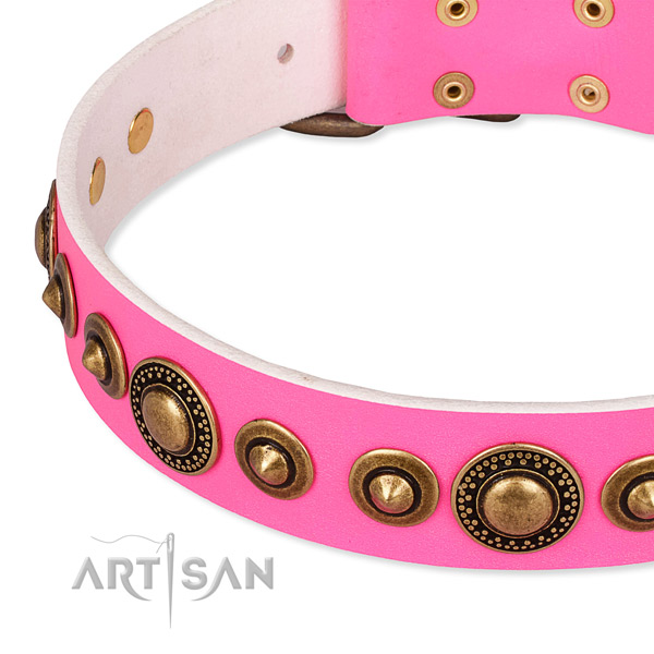 Top notch full grain natural leather dog collar handmade for your lovely dog