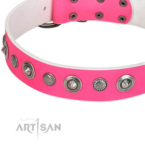 Natural leather collar with reliable fittings for your stylish canine