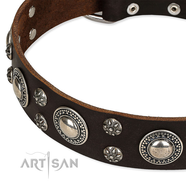 Comfy wearing embellished dog collar of durable full grain leather