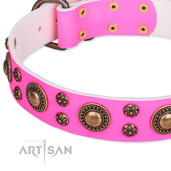 Everyday walking adorned dog collar of reliable leather