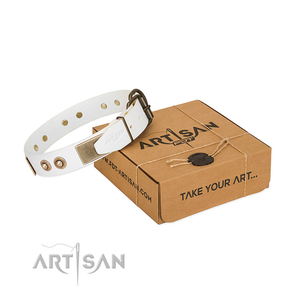 Reliable traditional buckle on natural genuine leather dog collar for your canine
