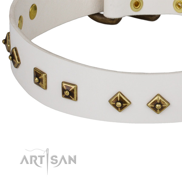 Unusual leather collar for your lovely doggie