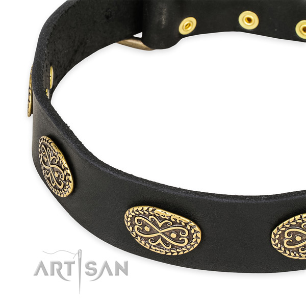 Stylish design leather collar for your handsome four-legged friend