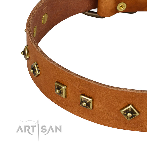 Top quality full grain genuine leather collar for your stylish canine