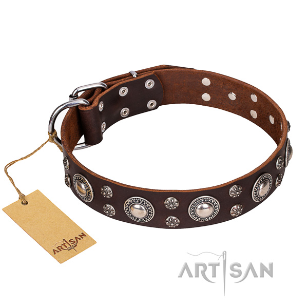 Stylish walking dog collar of top quality leather with decorations