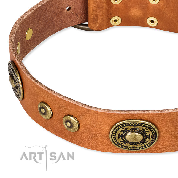 Full grain leather dog collar made of top notch material with decorations