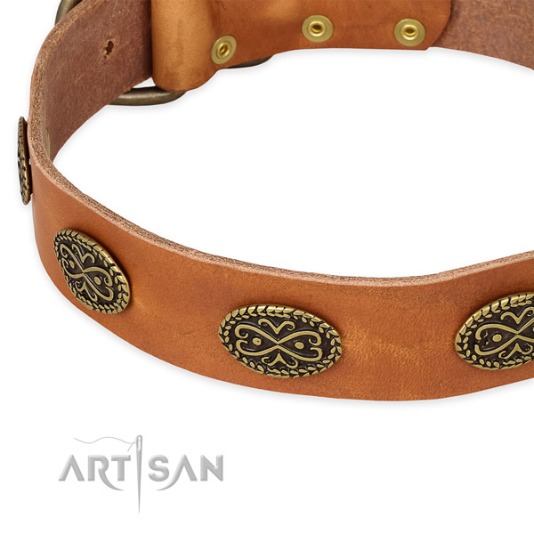 Designer full grain natural leather collar for your impressive dog