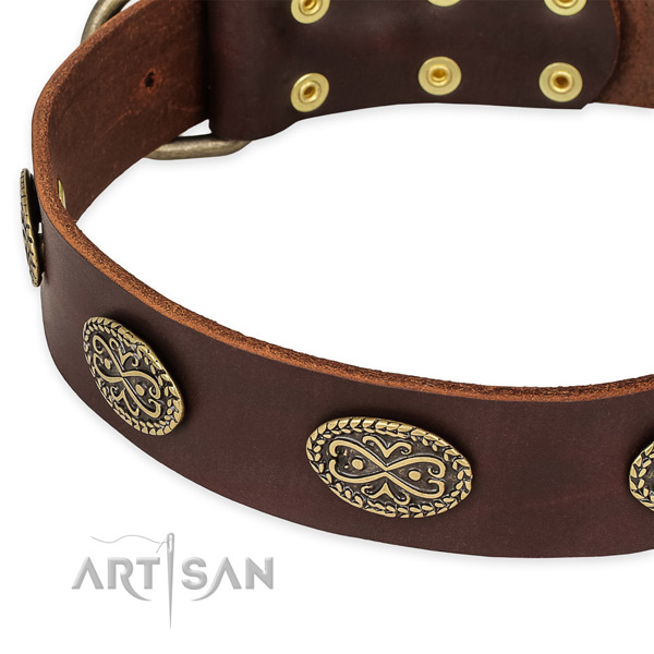 Stylish full grain leather collar for your attractive dog