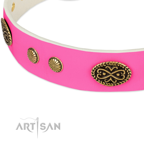Reliable decorations on full grain natural leather dog collar for your dog