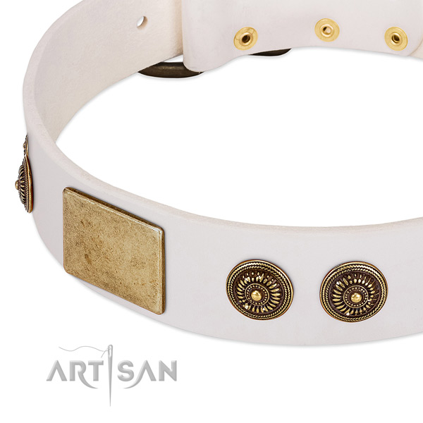 Exceptional dog collar handcrafted for your handsome dog