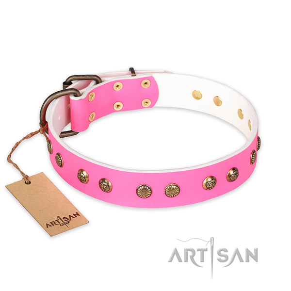 Extraordinary genuine leather dog collar with reliable traditional buckle