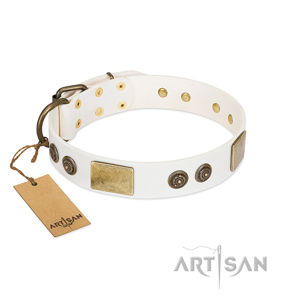 Unusual full grain natural leather dog collar for comfortable wearing