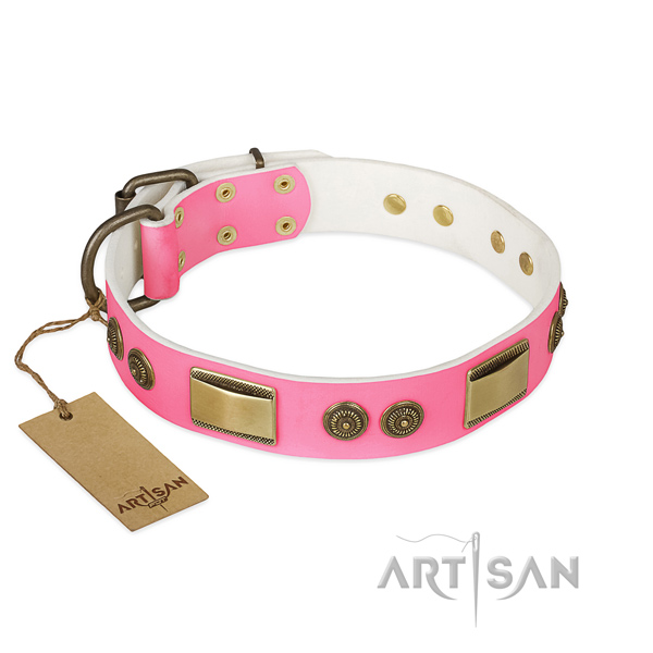 Extraordinary genuine leather dog collar for everyday walking