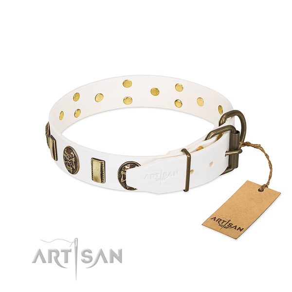 Rust resistant buckle on full grain genuine leather collar for everyday walking your canine