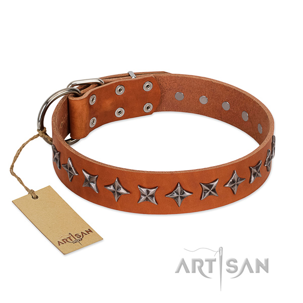 Everyday use dog collar of top quality full grain genuine leather with studs