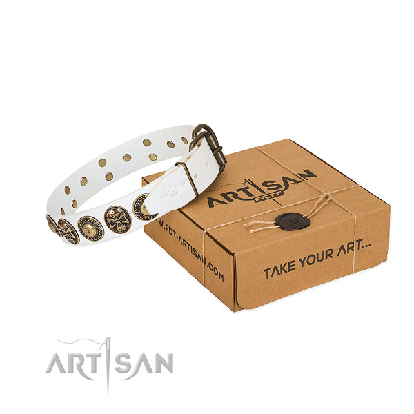 Corrosion proof hardware on dog collar for daily use