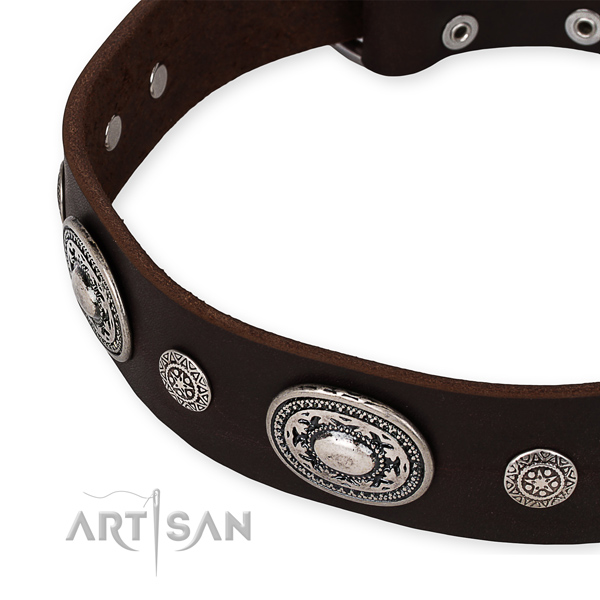 Top rate full grain natural leather dog collar created for your handsome dog