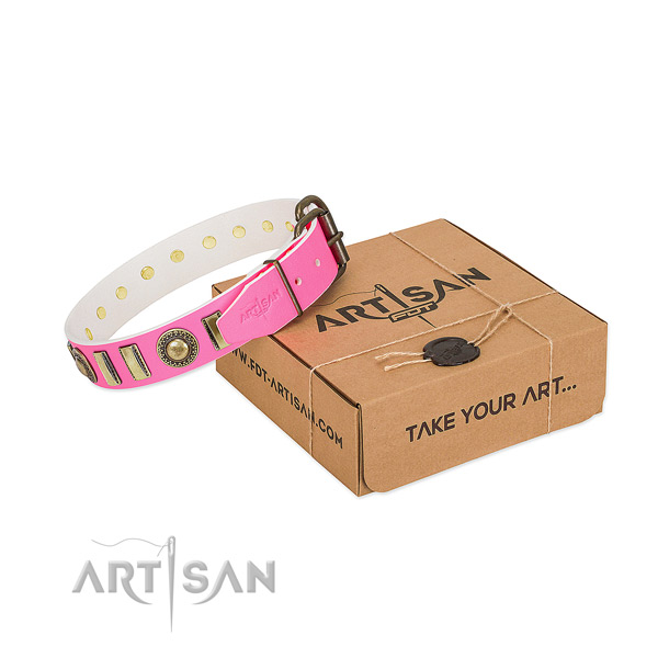 Reliable full grain leather dog collar made for your canine