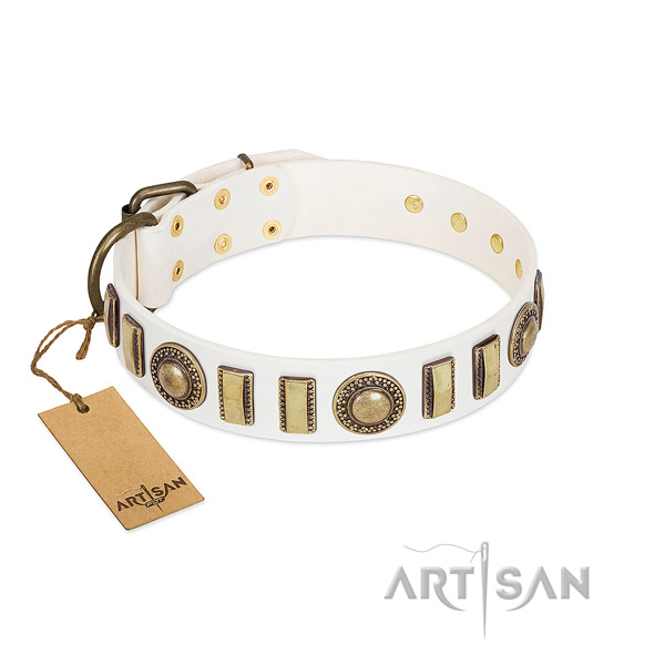 Incredible full grain natural leather dog collar with rust-proof buckle