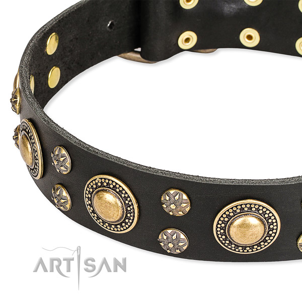Daily walking decorated dog collar of strong full grain leather