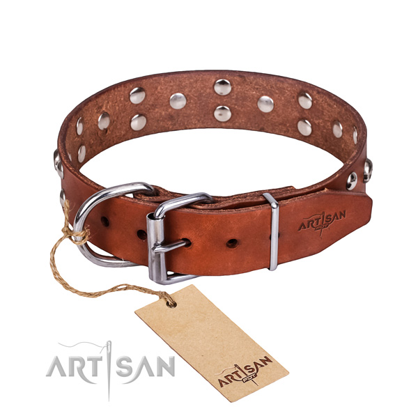 Basic training dog collar of reliable genuine leather with studs