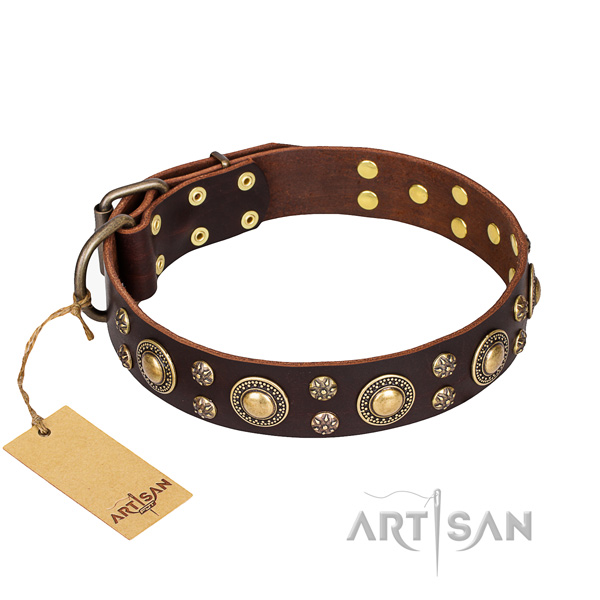 Stylish walking dog collar of high quality full grain leather with embellishments
