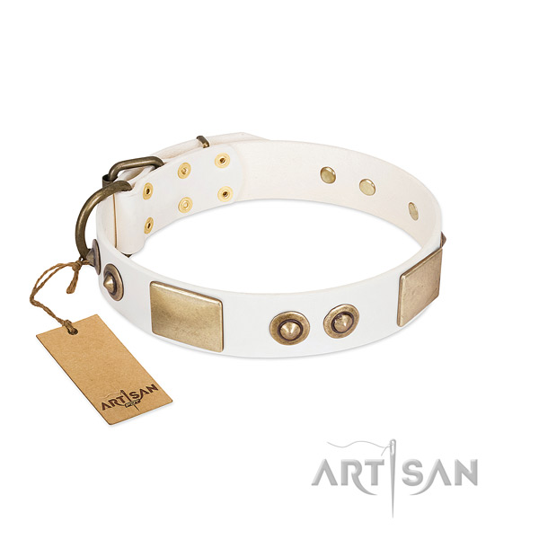 Corrosion proof decorations on full grain natural leather dog collar for your four-legged friend