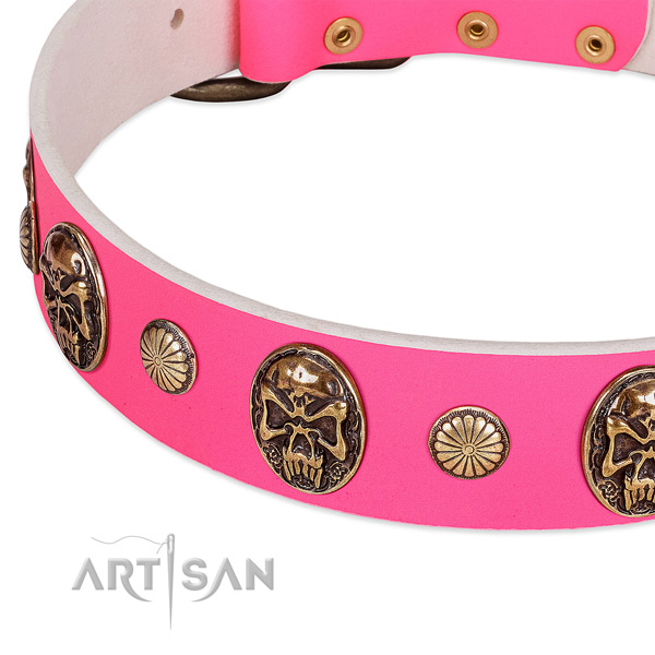 Corrosion proof studs on full grain leather dog collar for your dog