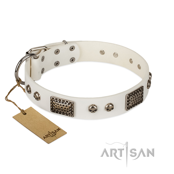 Easy adjustable genuine leather dog collar for stylish walking your four-legged friend