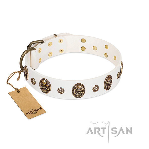 Remarkable genuine leather collar for your canine
