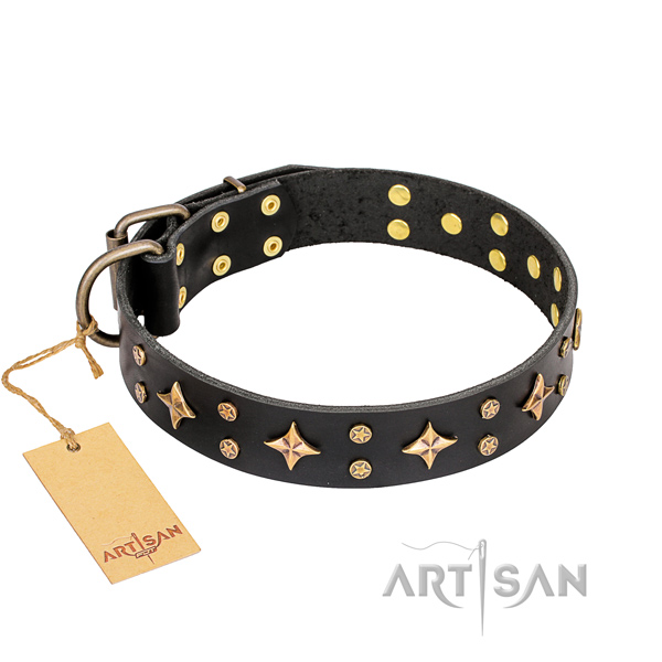 Stylish walking dog collar of strong full grain genuine leather with embellishments