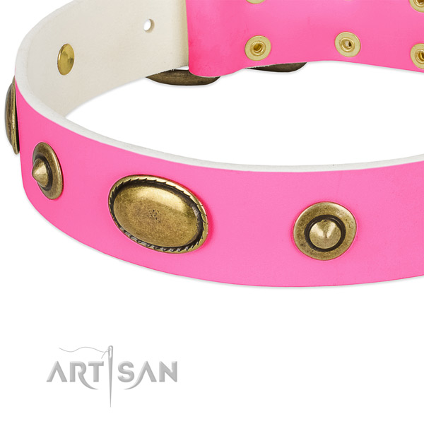 Reliable buckle on leather dog collar for your doggie