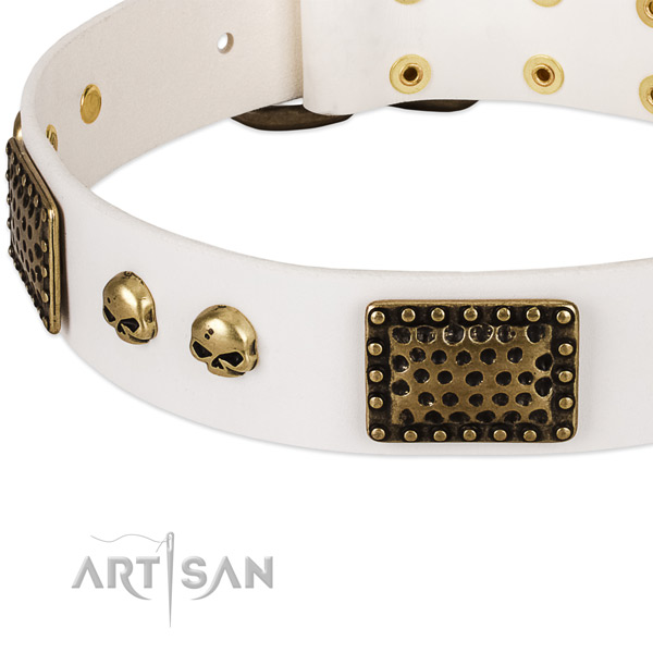 Rust-proof traditional buckle on full grain leather dog collar for your pet