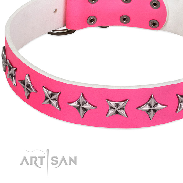Fancy walking embellished dog collar of durable genuine leather