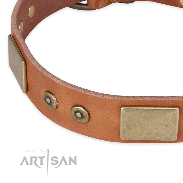 Strong adornments on leather dog collar for your four-legged friend