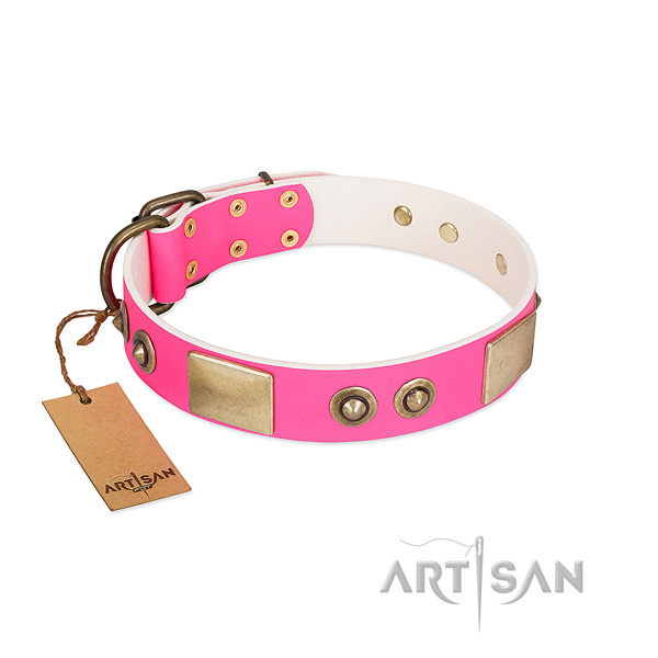 Durable fittings on genuine leather dog collar for your dog