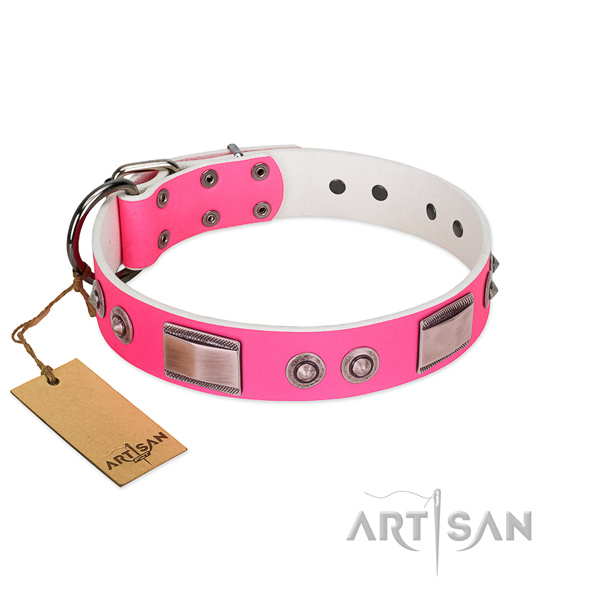 Unique dog collar of leather with adornments