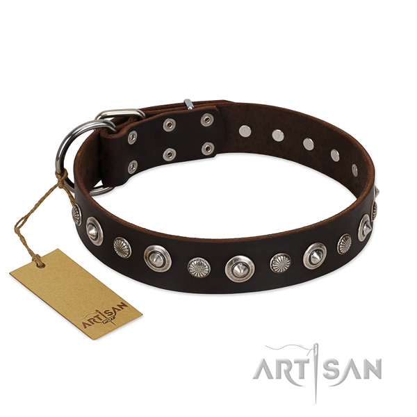 Top quality full grain leather dog collar with significant adornments