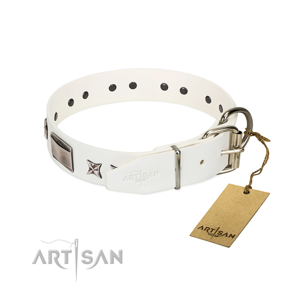 Best quality collar of leather for your lovely canine