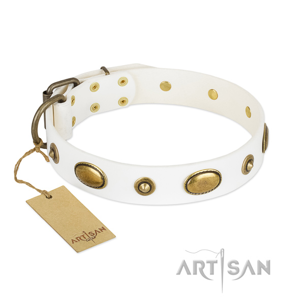 Top quality leather collar for your doggie
