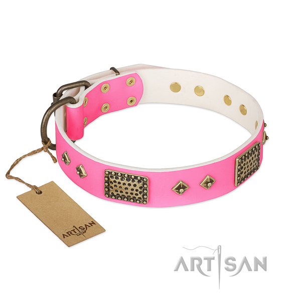 Adjustable full grain leather dog collar for everyday walking your canine