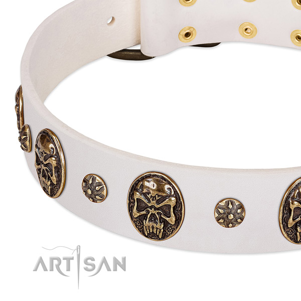 Reliable traditional buckle on leather dog collar for your doggie