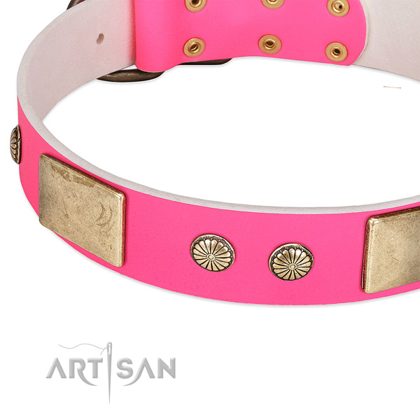 Rust-proof decorations on full grain leather dog collar for your pet