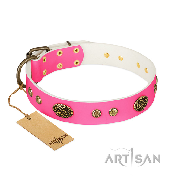 Corrosion proof traditional buckle on natural leather dog collar for your canine