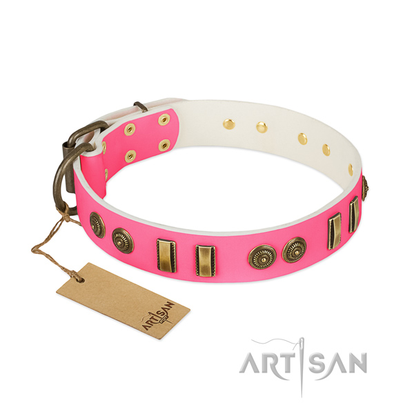 Easy adjustable genuine leather collar for your dog